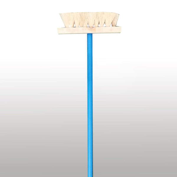 CEPILLO DE IXTLE